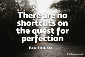 There are no shortcuts on the quest for perfection