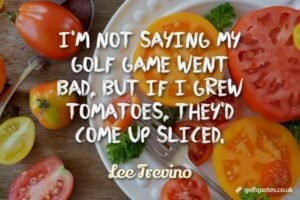 I'm not saying my golf game went bad, but if I grew tomatoes, they'd come up sliced.