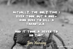 Actually, the only time I ever took out a one-iron was to kill a tarantula. And it took a seven to do that.