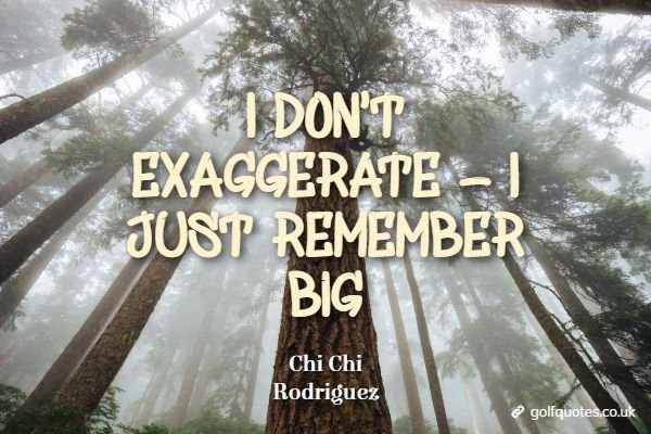 I don't exaggerate - I just remember big