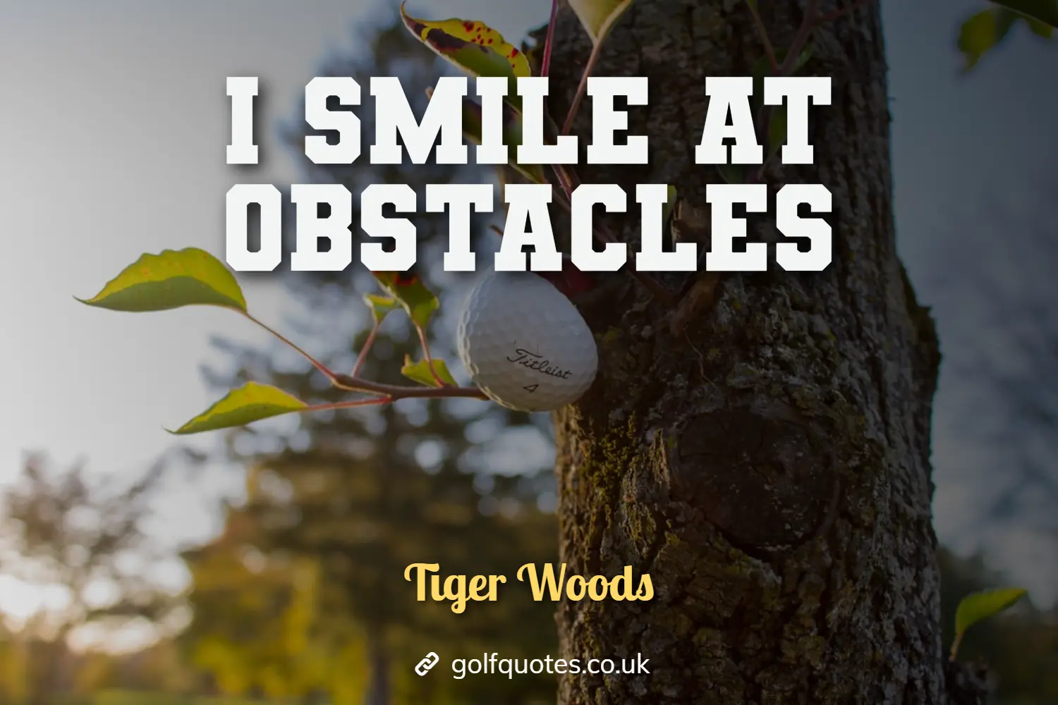 I smile at obstacles